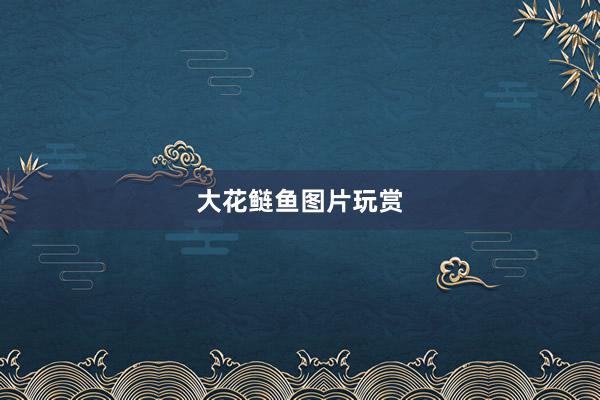 大花鲢鱼图片玩赏